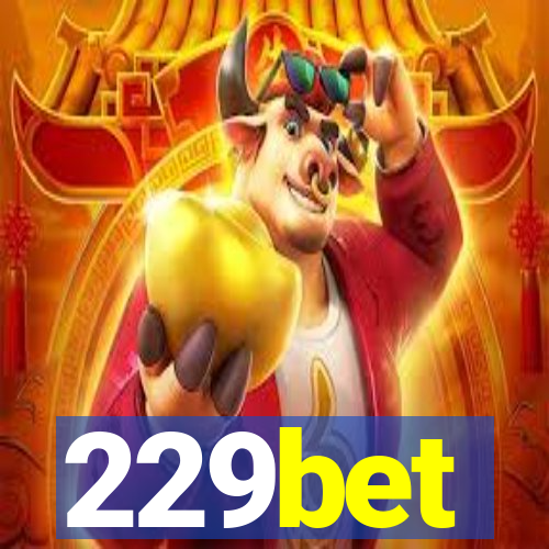 229bet