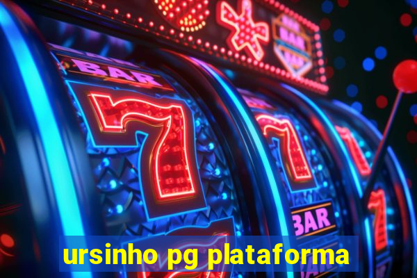 ursinho pg plataforma