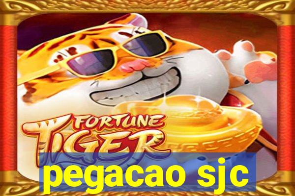 pegacao sjc