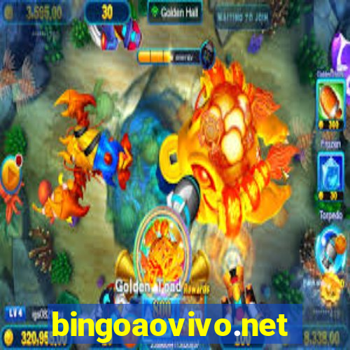 bingoaovivo.net