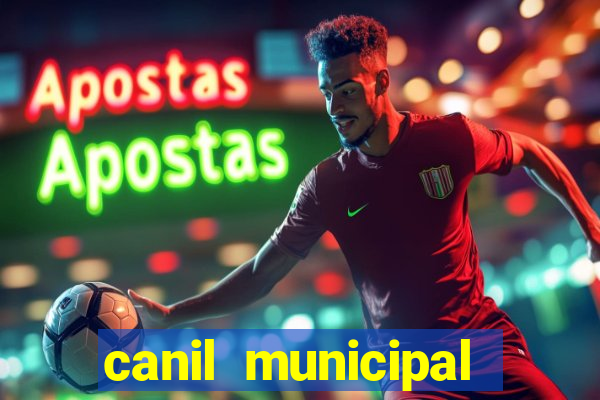 canil municipal porto alegre