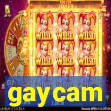 gaycam