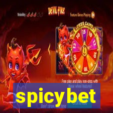 spicybet-3.com